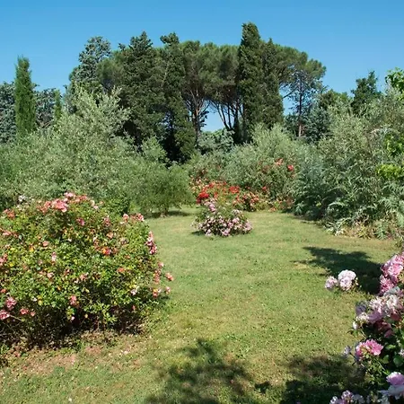 Vagnucci Cortona