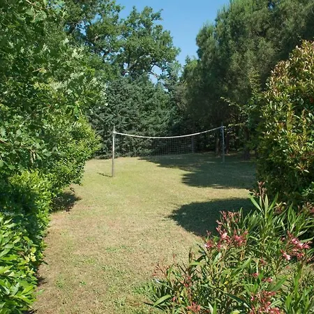 Vagnucci Cortona